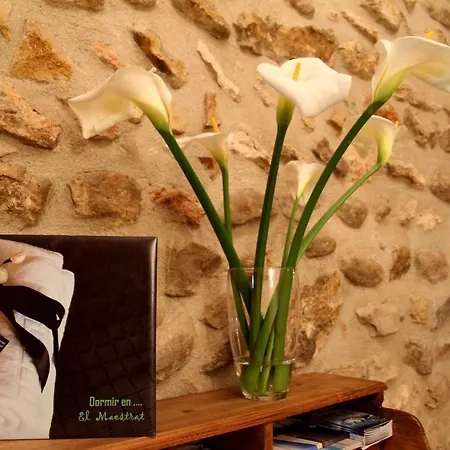 Complejo Rural Turimaestrat * Sant Mateu
